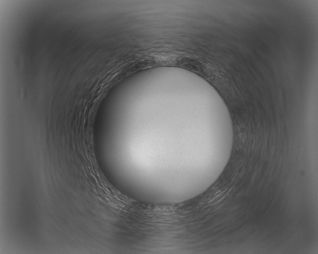 X0000054381249200507290848