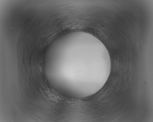 X0000054381250200507290848