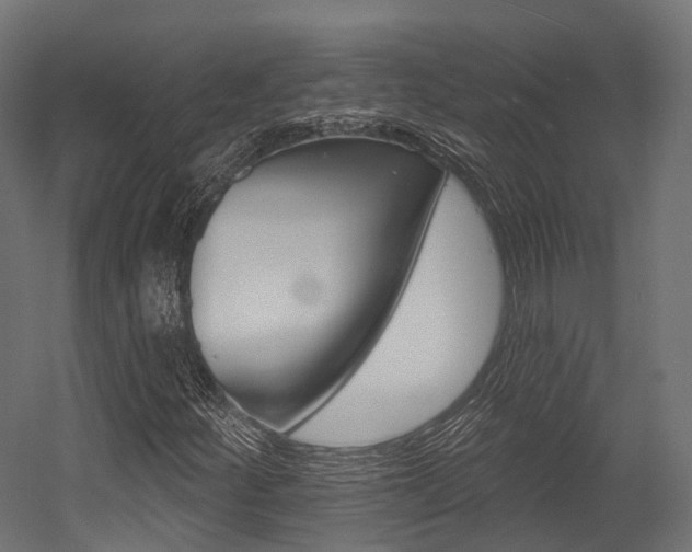 X0000054381252200507290848