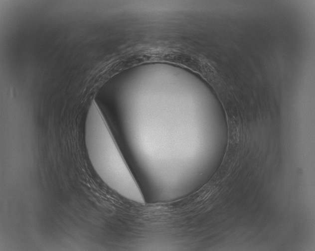X0000054381253200507290848