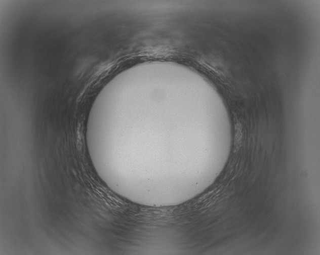 X0000054381254200507290848