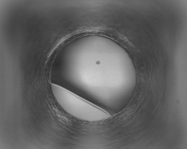 X0000054381256200507290848