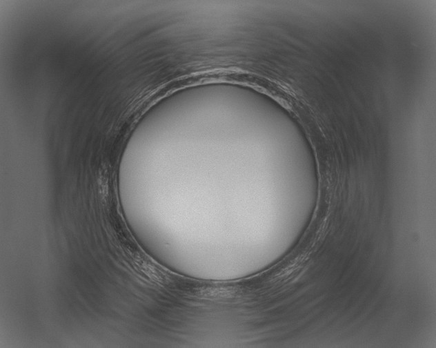 X0000054381257200507290848