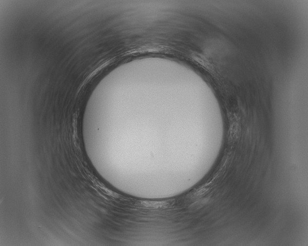 X0000054381258200507290848