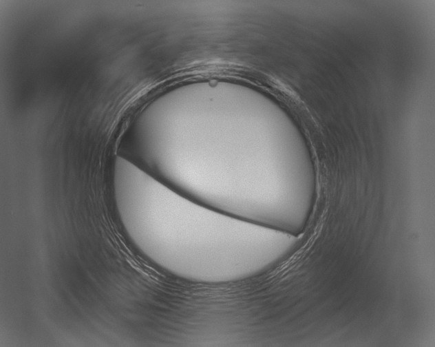 X0000054381259200507290848
