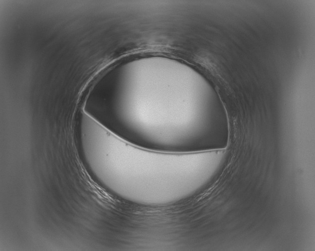 X0000054381260200507290848