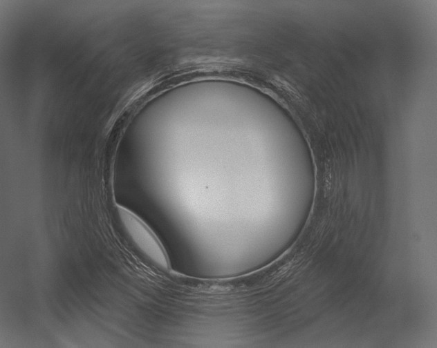 X0000054381261200507290848