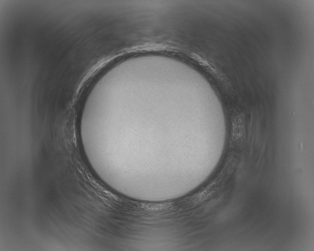X0000054381262200507290848