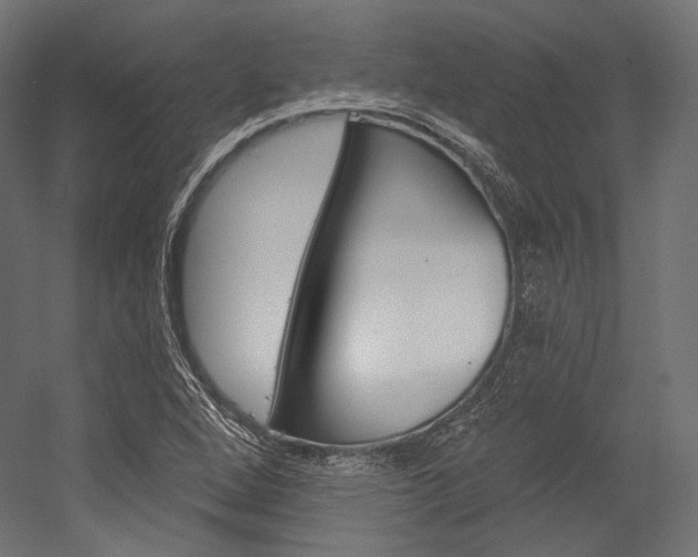 X0000054381264200507290847