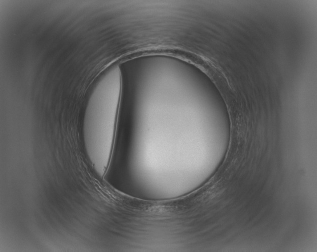 X0000054381265200507290847
