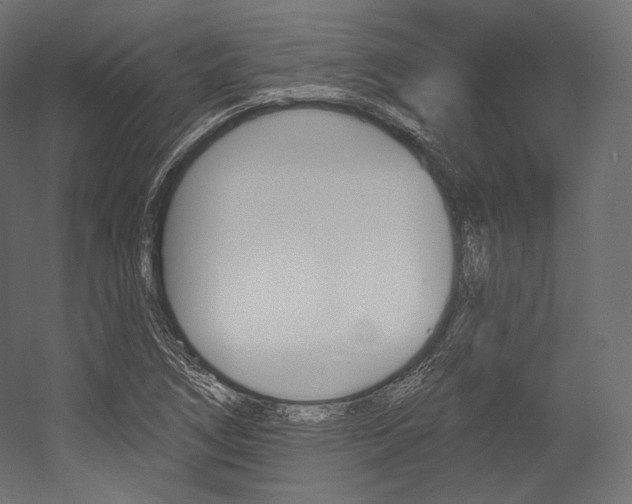 X0000054381266200507290847