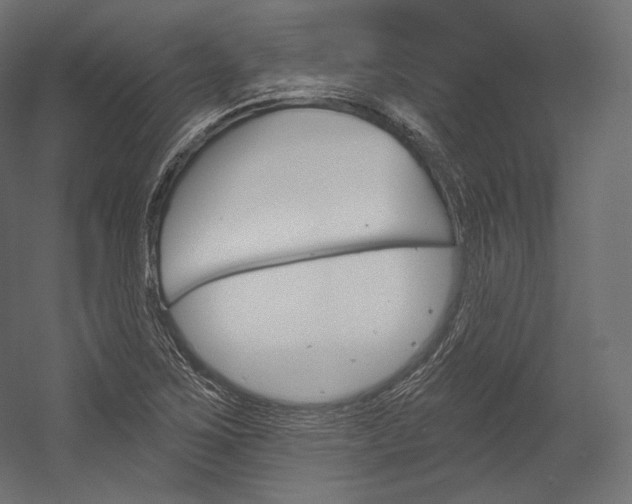 X0000054381267200507290847