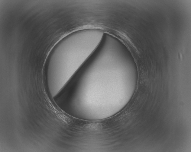 X0000054381268200507290847