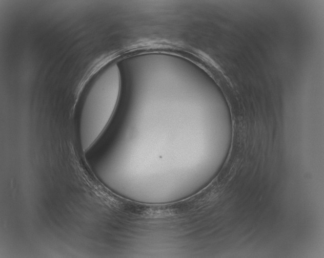 X0000054381269200507290847