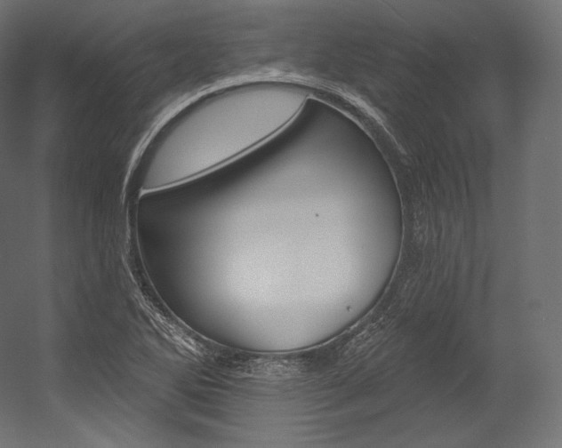 X0000054381270200507290847