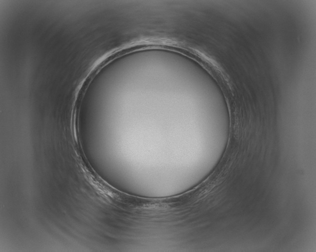 X0000054381272200507290847
