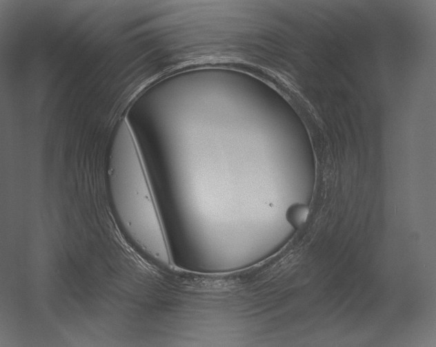 X0000054381273200507290847