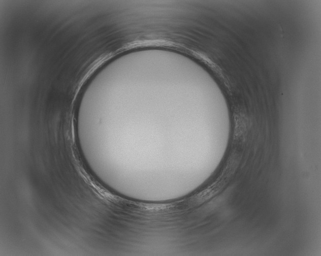 X0000054381274200507290847