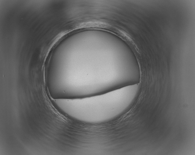X0000054381275200507290847