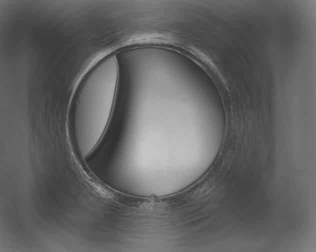X0000054381277200507290847