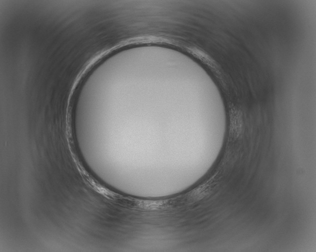 X0000054381278200507290847