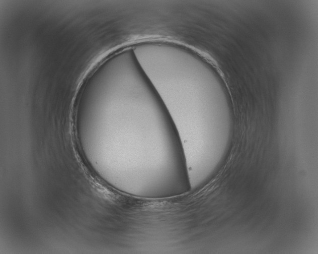 X0000054381279200507290847