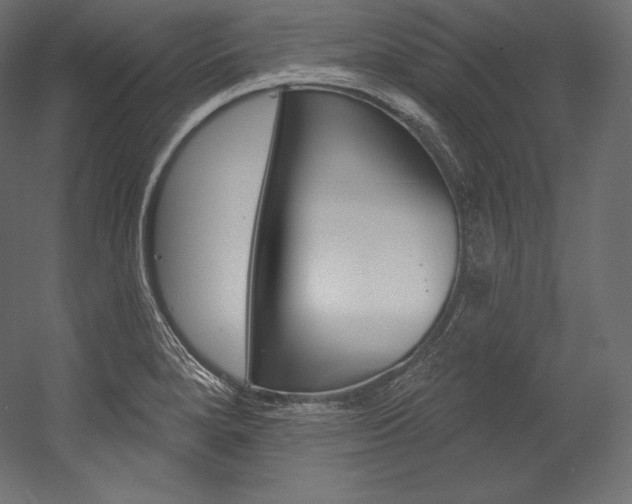 X0000054381280200507290847
