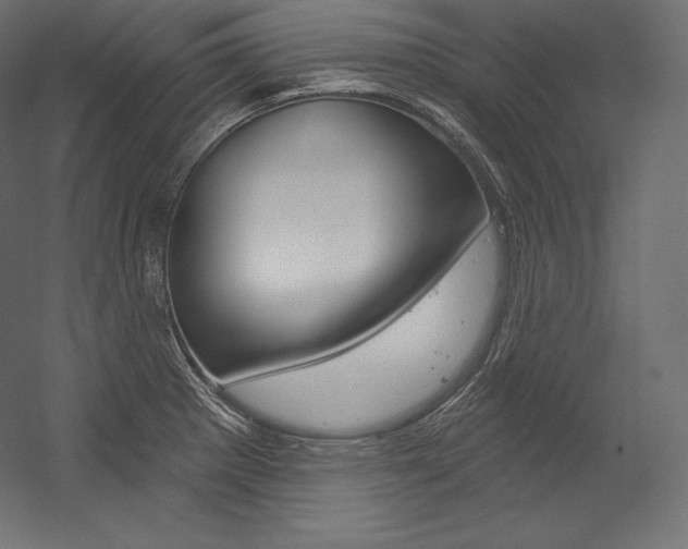 X0000054381281200507290847