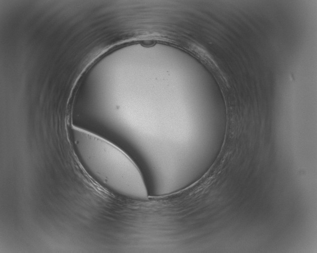 X0000054381284200507290847