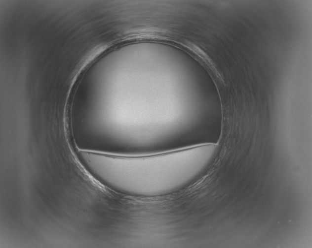 X0000054381285200507290847