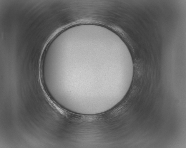 X0000054381286200507290847