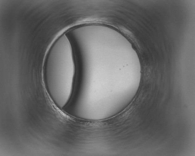 X0000054381288200507290847