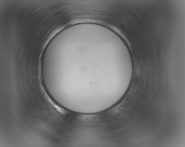 X0000054381290200507290847