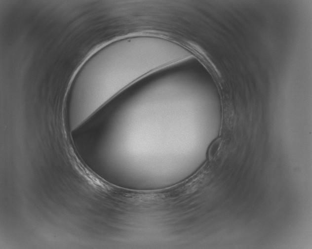 X0000054381292200507290847