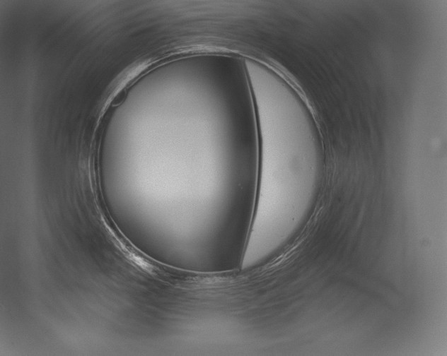 X0000054381293200507290847