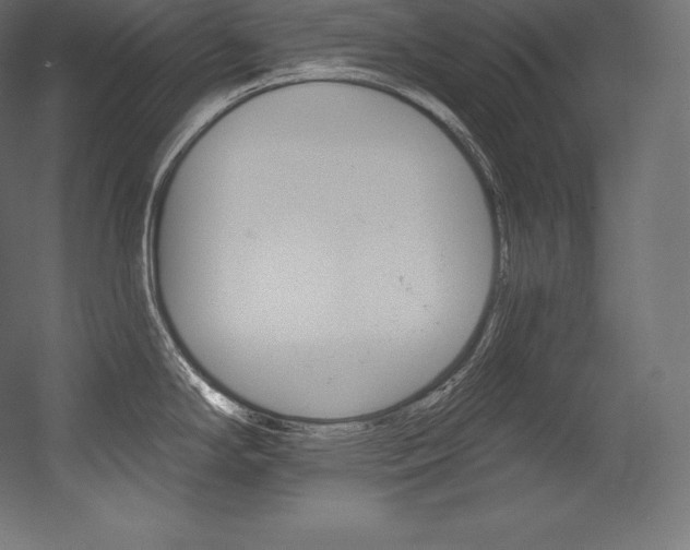 X0000054381294200507290847