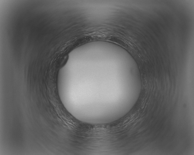 X0000054381297200507290846