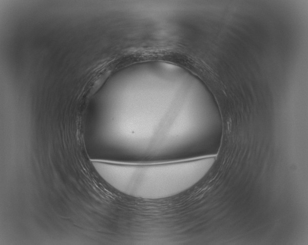 X0000054381300200507290846