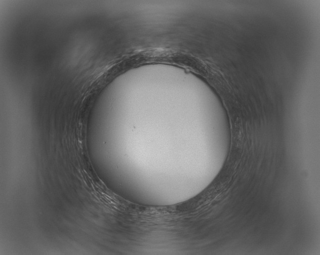 X0000054381301200507290846