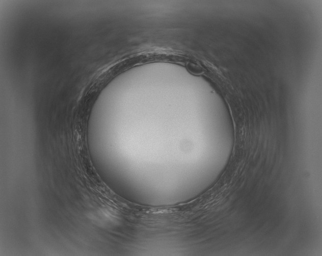 X0000054381303200507290846