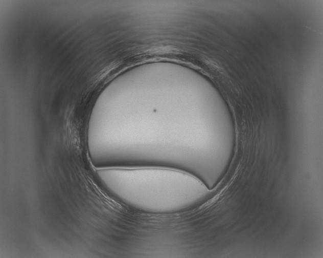 X0000054381305200507290846