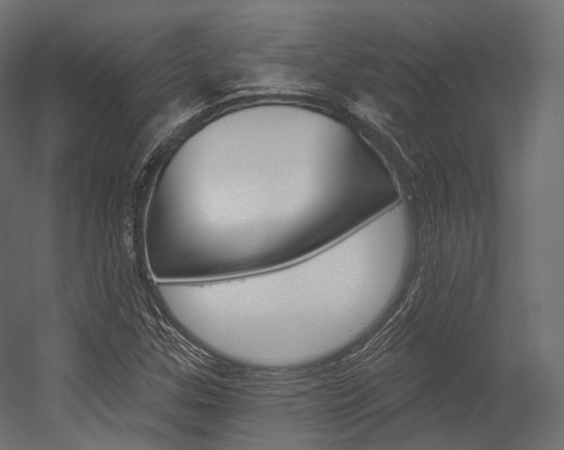 X0000054381307200507290846