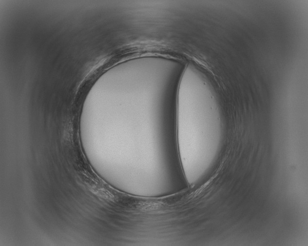 X0000054381309200507290846