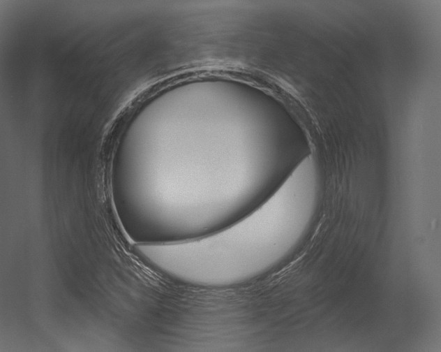 X0000054381310200507290846