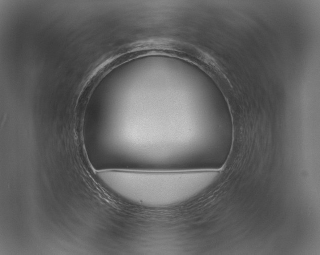 X0000054381312200507290846