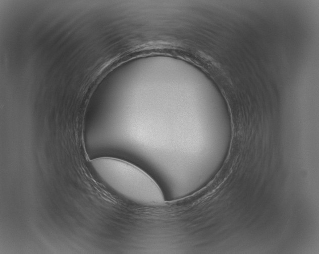 X0000054381313200507290846