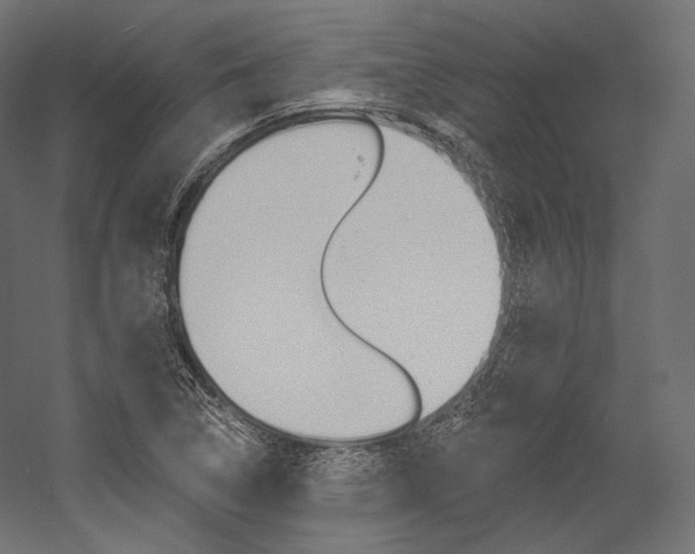 X0000054381314200507290846