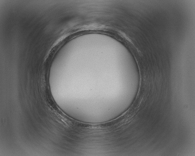 X0000054381315200507290846