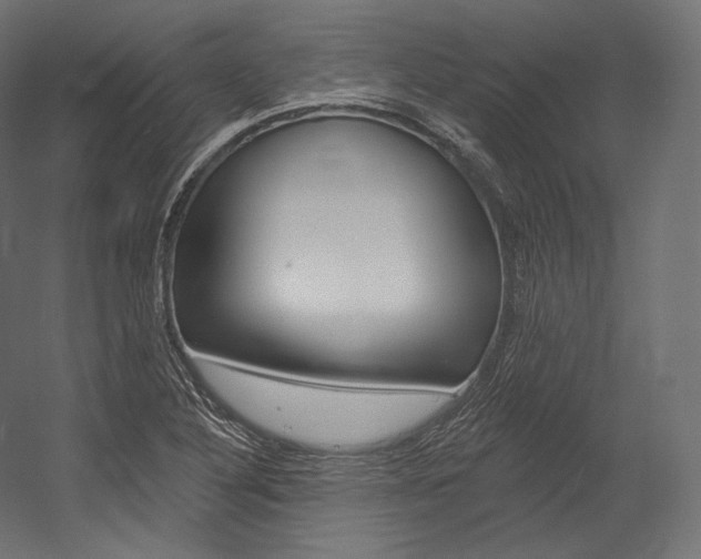 X0000054381316200507290846
