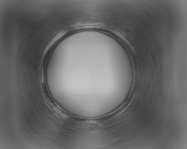 X0000054381317200507290846